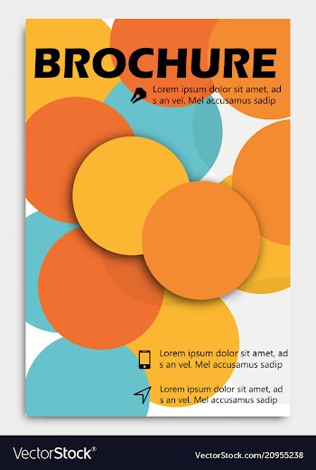Business brochure design template flyer layout vector image