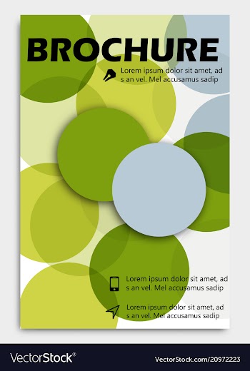 Business brochure design template flyer layout vector image