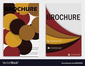Business brochure design template flyer layout vector image
