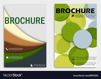 Business brochure design template flyer layout vector image