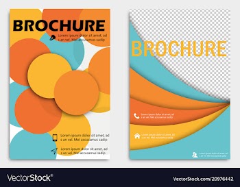 Business brochure design template flyer layout vector image