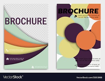 Business brochure design template flyer layout vector image