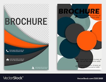 Business brochure design template flyer layout vector image