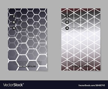 Business brochure flyer design a4 template vector image