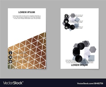 Business brochure flyer design a4 template vector image