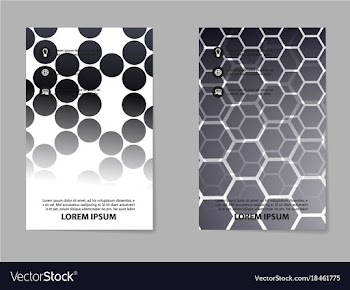 Business brochure flyer design a4 template vector image