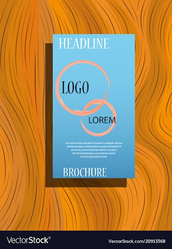 Business brochure flyer design a4 template vector image