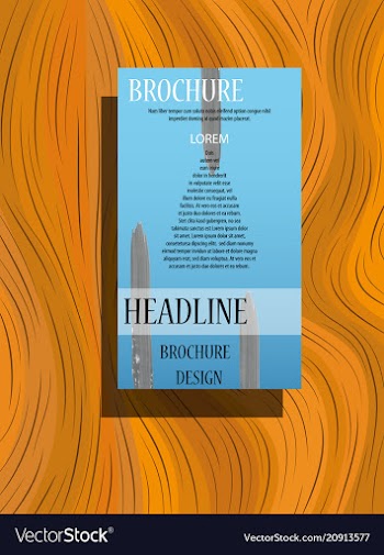 Business brochure flyer design a4 template vector image