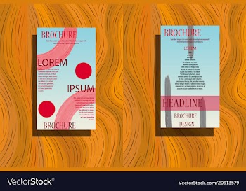 Business brochure flyer design a4 template vector image