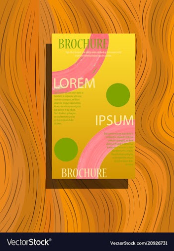 Business brochure flyer design a4 template vector image