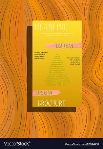 Business brochure flyer design a4 template vector image