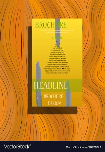 Business brochure flyer design a4 template vector image