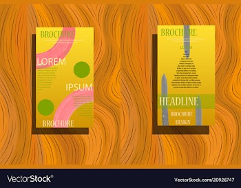 Business brochure flyer design a4 template vector image