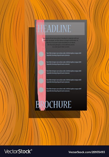 Business brochure flyer design a4 template vector image