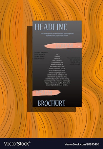 Business brochure flyer design a4 template vector image