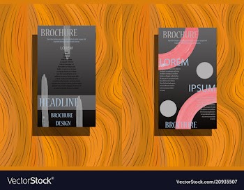 Business brochure flyer design a4 template vector image