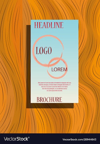 Business brochure flyer design a4 template vector image