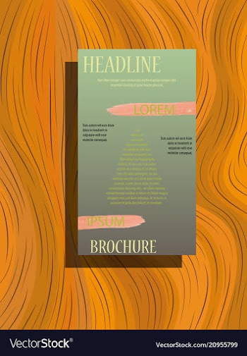 Business brochure flyer design a4 template vector image