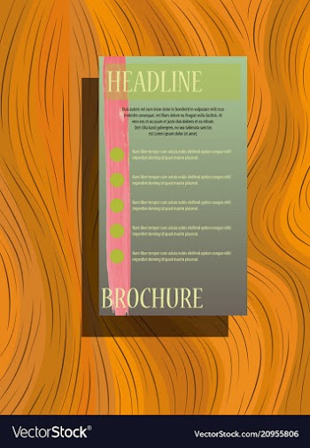 Business brochure flyer design a4 template vector image