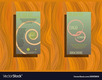 Business brochure flyer design a4 template vector image
