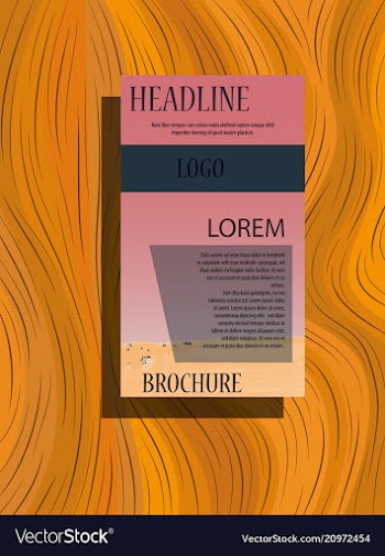 Business brochure flyer design a4 template vector image