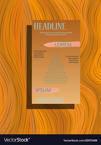 Business brochure flyer design a4 template vector image