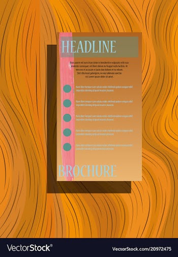 Business brochure flyer design a4 template vector image