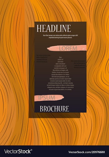 Business brochure flyer design a4 template vector image