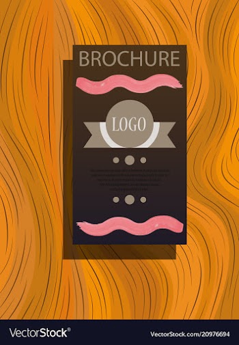 Business brochure flyer design a4 template vector image