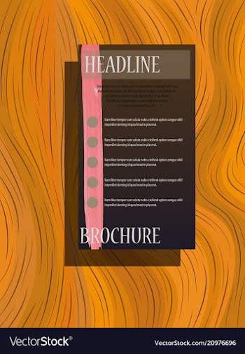 Business brochure flyer design a4 template vector image