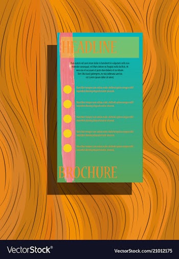 Business brochure flyer design a4 template vector image