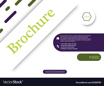 Business brochure flyer design a4 template vector image