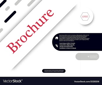 Business brochure flyer design a4 template vector image
