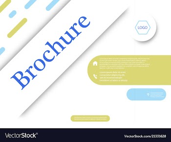 Business brochure flyer design a4 template vector image