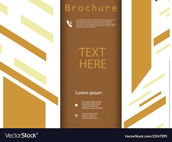 Business brochure flyer design a4 template vector image