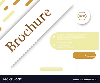 Business brochure flyer design a4 template vector image