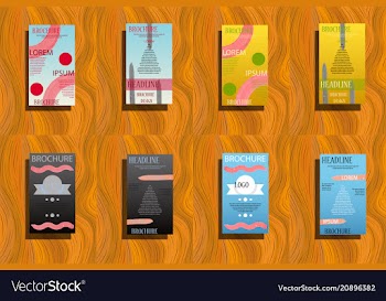 Business brochure flyer design layout template in vector image