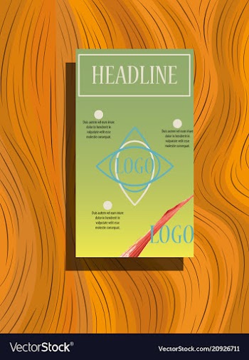 Business brochure flyer design layout template in vector image
