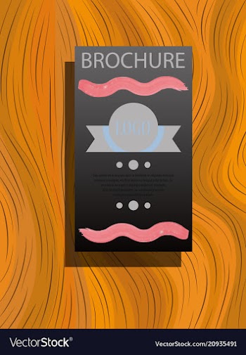 Business brochure flyer design layout template in vector image