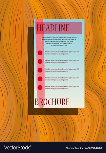 Business brochure flyer design layout template in vector image