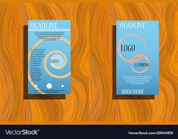 Business brochure flyer design layout template in vector image