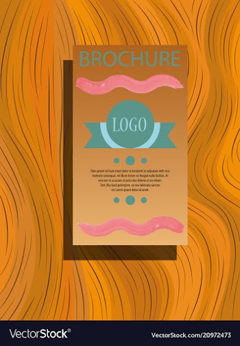 Business brochure flyer design layout template in vector image