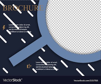 Business brochure flyer design layout template in vector image
