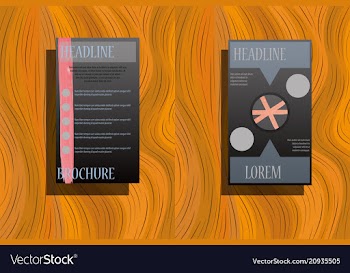 Business brochure flyer design leaflets a4 vector image