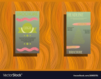 Business brochure flyer design leaflets a4 vector image