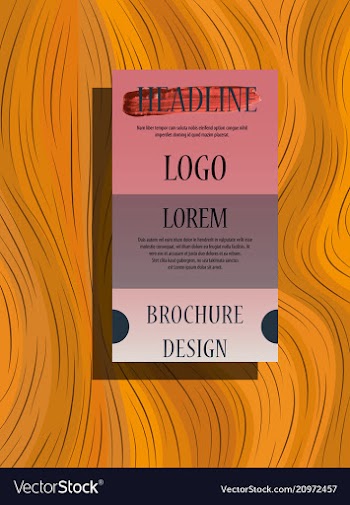 Business brochure flyer design leaflets a4 vector image