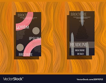 Business brochure flyer design leaflets a4 vector image