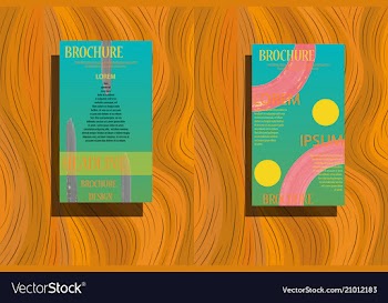 Business brochure flyer design leaflets a4 vector image