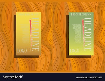 Business brochure template design with geometric vector image
