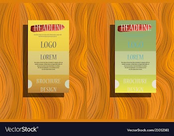 Business brochure template design with geometric vector image
